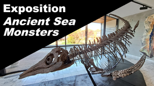 Expo 'Ancient sea monsters : 180 millions d'années sous les mers' - BU Ingénieurs Brabois de Nancy
