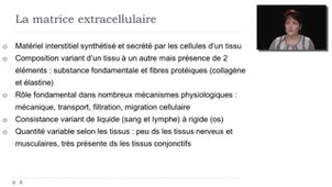 03- La matrice extracellulaire