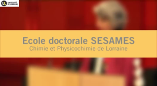 Cérémonie de rentrée solennelle de l'Université de Lorraine 2014 - Ecole doctorale SESAMES