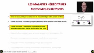 18_Les maladies autosomiques