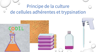 0_2_1_1ABoite_a_outil2
