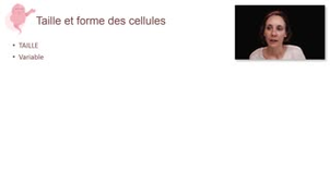 La cellule : qu'est-ce que c'est ? - Chapitre 1 - partie 2