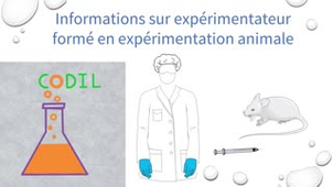 0_3_1_1BBoite_a_outil2