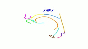 Vocal tract shape generated for a sequence of phonemes corresponding to a sentence (Vinicius Ribeiro PhD)