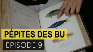 Pépites des BU - épisode 9