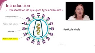 Mooc Gènes sans gêne - Semaine 1 - jour 1 - vidéocours Bérénice --V1