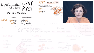 JOUR_4_Semaine_4_CYTE