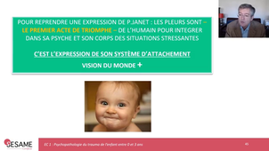 UE6EC1 Psychopathologie du trauma entre 0 et 3 ans.mp4