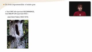 Parenthèse technologique : durabilité naturelle, imprégnabilité et choix des bois en fonction des emplois - Chapitre 5bis - partie 1
