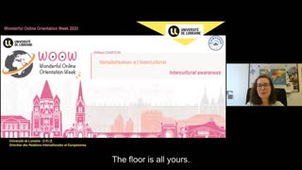 Sensibilisation à l'Interculturel / Intercultural awareness