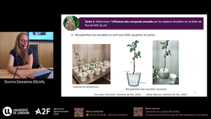 Conseil de pôle A2F, flash talk, Dorine Desalme (SILVA) - 