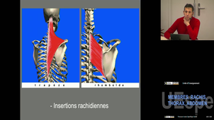 MRTA Fyad Jean-Pascal 6/02/2026 (Pt1) las1