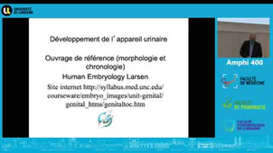 UE 3 - Embryologie de l'appareil urinaire