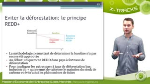 Cours 2 - 9ème partie - Économie du carbone forestier