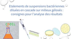 0_2_3_2BBoite_a_outil3_ST