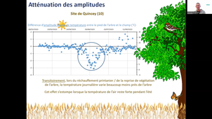 Conseil de pôle A2F, flash talk, Impact de l'arbre en milieu agricole sur le microclimat dans le Grand-Est - Nicolas Marron