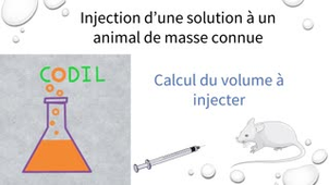 3_1_1Bcalcul_ST