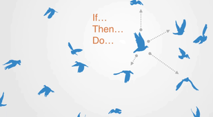 #6 - Mini MOOC Systèmes Complexes - Adaptation et autonomie