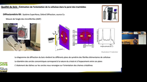 Au coeur de la recherche et stage dating 4 novembre 2024 SilvaTECH A2F