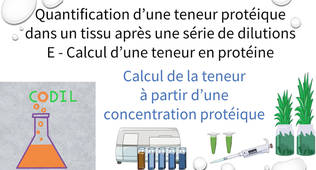 3_3_1ETableau2