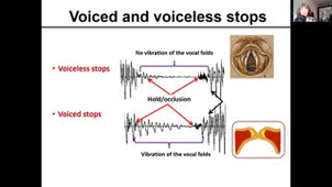 Acoustics - 3 - Consonants