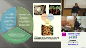 An introduction to human genetics