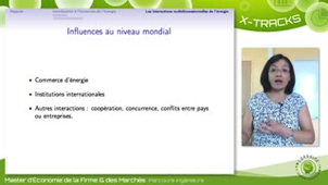 Economie de l'énergie - 0.4 Les interactions multidimensionnelles de l'énergie