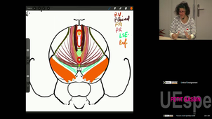 P-Bassin Pr Perez Manuela 20/02/2026 (Pt1)