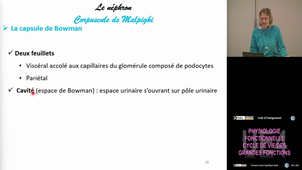 UE4 Gaucher Caroline 5/11/2025