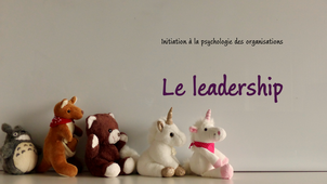 Initiation à la psychologie des organisations - 20 - Le leadership