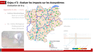 Sciences de la vie-Ecotoxicologie - Cours 1 (S2)
