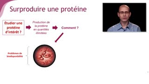 Surproduire une protéine - Chapitre 5 - partie 1