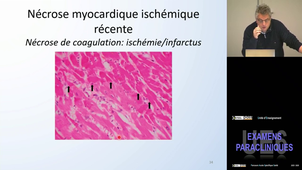 UE6 Sartelet Hervé 03/03/2026