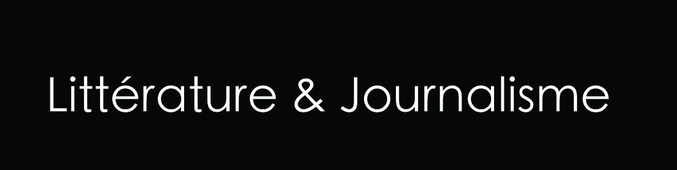Benoît Fourchard, Auteur