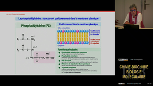 UE3 Malaplate Catherine 07/10/2026