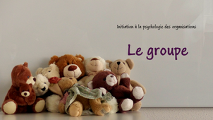 Initiation à la psychologie des organisations - 15 - Le groupe