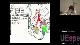 P-bassin Pr Perez Manuela 20/02/2026 (Pt4)