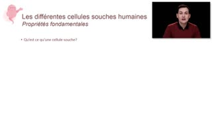 Différents types de cellules souches - Chapitre 3 - partie 2