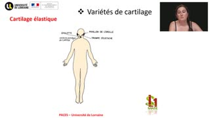 03- PACES UE2 - CM3 - Les tissus cartilagineux et osseux - Emilie Velot