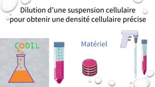 2_1_1Bmateriel_ST