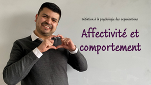 Initiation à la psychologie des organisations - 08 - Affectivité et comportement