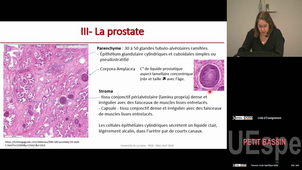 P-Bassin Auchet Nathalie 31/03/2026 (Pt2)