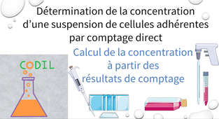2_1_1Acalcul