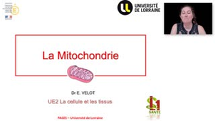 08- PACES UE2 - CM8 - La cellule et les tissus - Emilie Velot