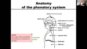Chapter II - Articulation of sounds