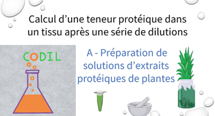 3_3_1Apartie_complete