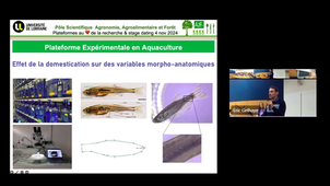 Au coeur de la recherche et stage dating 4 novembre 2024 PEA A2F