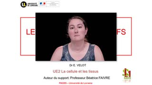 14- PACES UE2 - CM14 - La cellule et les tissus - Emilie Velot