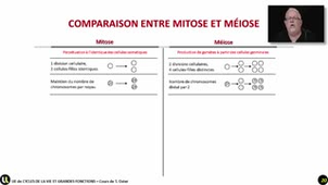 09_Les différences entre mitose et mélose