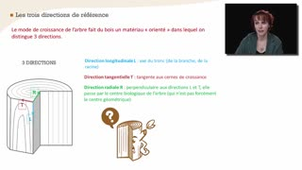 Les directions et les plans de référence dans le bois - Chapitre 2